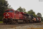 CP 8942